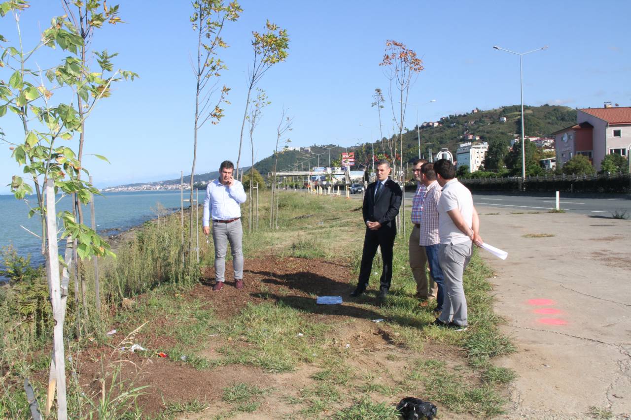 Yürüyüş ve Bisiklet Yolu