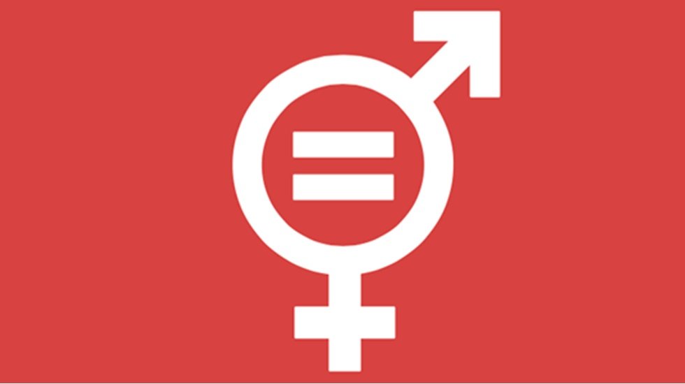 Toplumsal Cinsiyet  Eşitliği Eylem Planı 